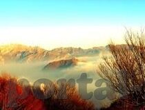 麻d传媒国产大象-麻d传媒国产大象，文化与创新的双重探索